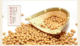 酥香四溢，贛南記憶 月亮粑、花生巴與鍋巴豆巴子餅的零食魅力